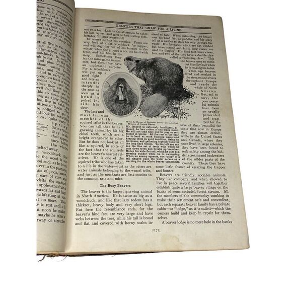 Richards Cyclopedia Vol 9 And 10 First Edition 1933 Hardcover Book Vintage - Picture 7 of 16